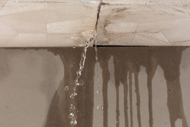 Professional Burst Pipe Cleanup technician working in Creola, AL